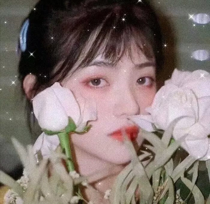 花圃里的蝴蝶 在线观看