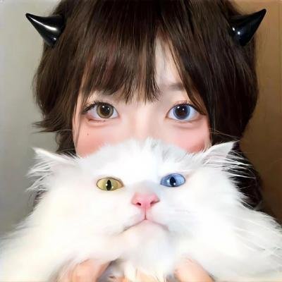 301角斗 在线观看